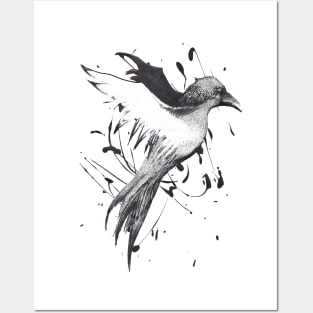 Crow Posters and Art